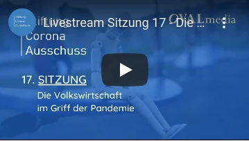 Die Volkswirtschaft im Griff der Pandemie